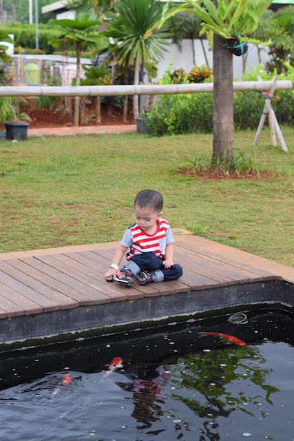 Mau Kemana Libur Lebaran Nanti?