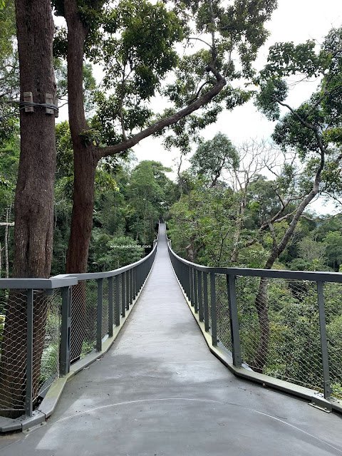 The Habitat Penang Hill Salah Satu Destinasi Wajib Kalau ke Penang