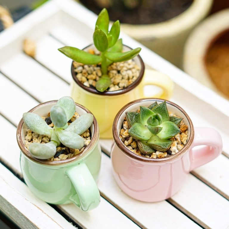 Terima Kasih Tahun 2020, Selamat Datang Tahun 2021