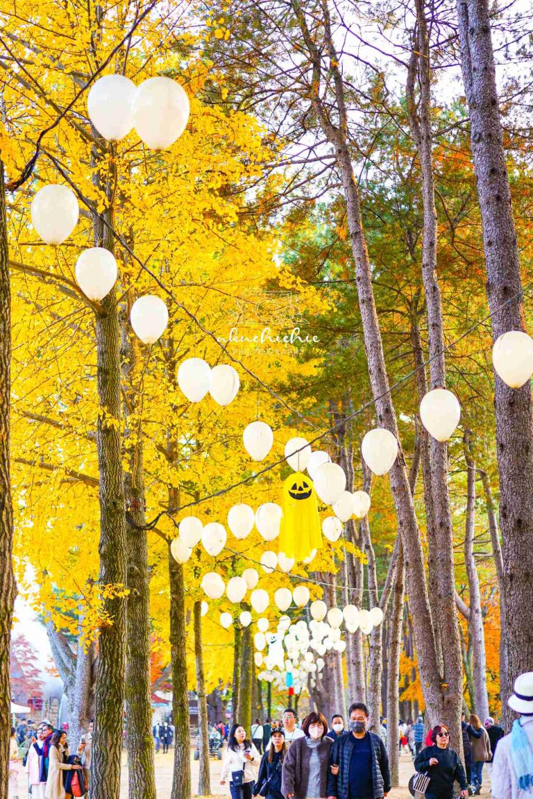 5 tempat musim gugur di Korea