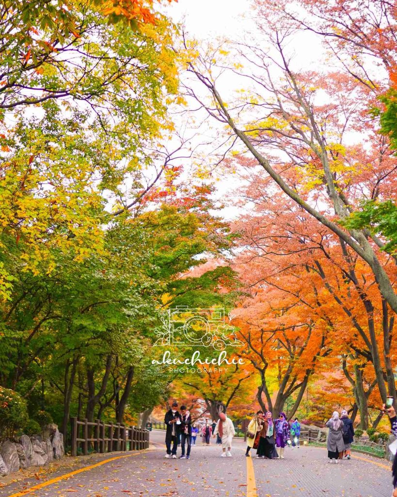 Namsan tower, destinasi romantis di Seoul