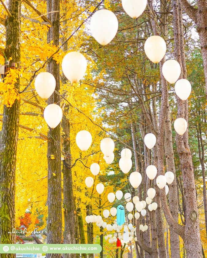 Suasana Halloween di Pulau Nami