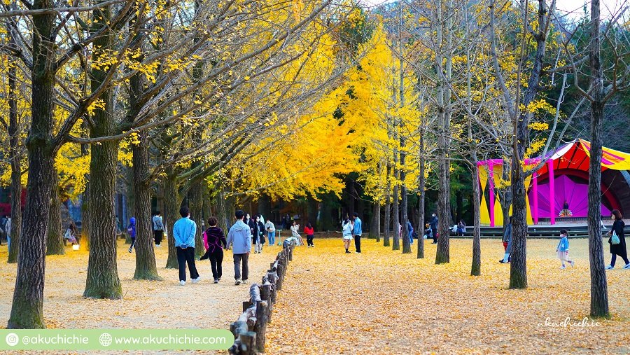 Harga tiket masuk ke Pulau Nami Korea Selatan