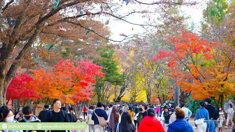 Nami Island saat bulan Oktober 2022