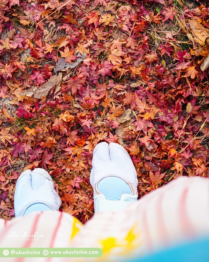 Menginjakan kaki di Pulau Nami