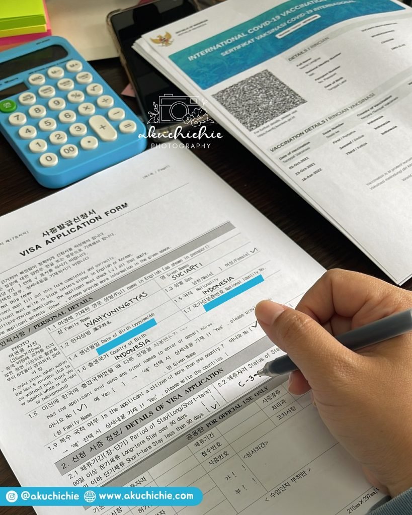 Visa Korea Application Form