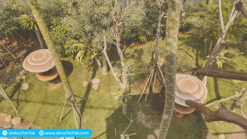 Jakarta Bird Land Ancol