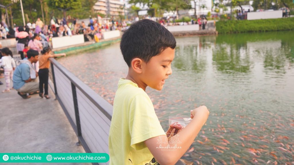 Ngasih makan ikan di Cibis
