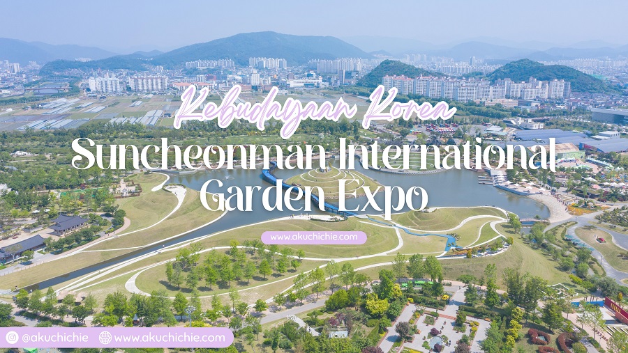 Suncheonman Budaya Korea - akuchichie