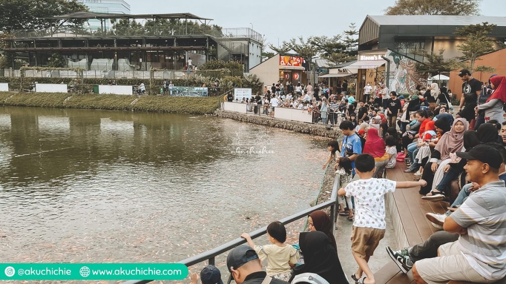 kasih makan ikan di cibis