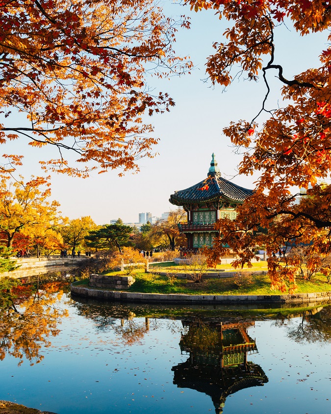 5 Destinasi Wisata Musim Gugur di Korea Selatan, Dijamin Cantik!