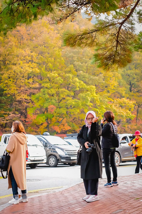 Persiapan musim gugur Korea Selatan