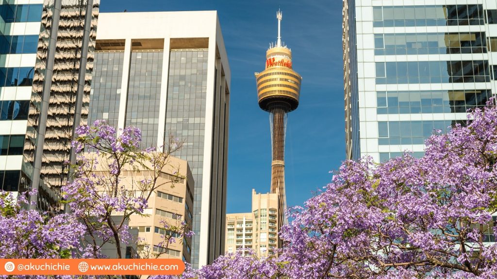 Pengalaman Main ke Sydney Tower Eye - akuchichie