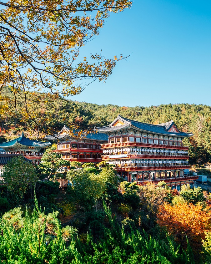 Wisata Kuil di Busan Yang Wajib Dikunjungi