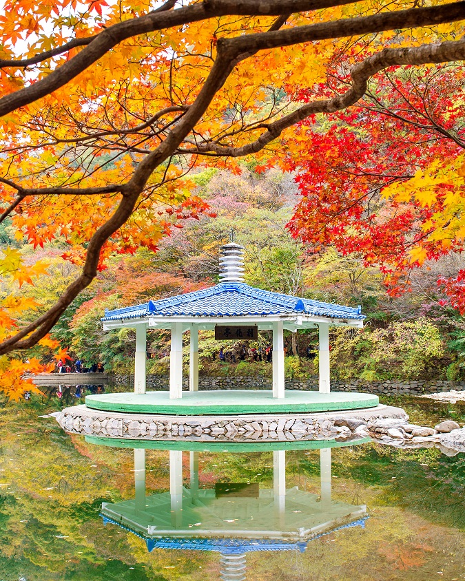 Naejangsan National Park di Musim Gugur