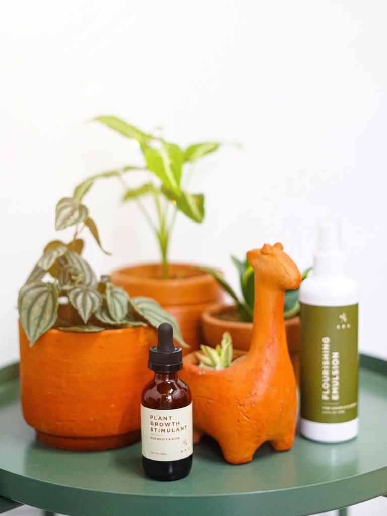 Happy Plant at Home With Ara Indonesia