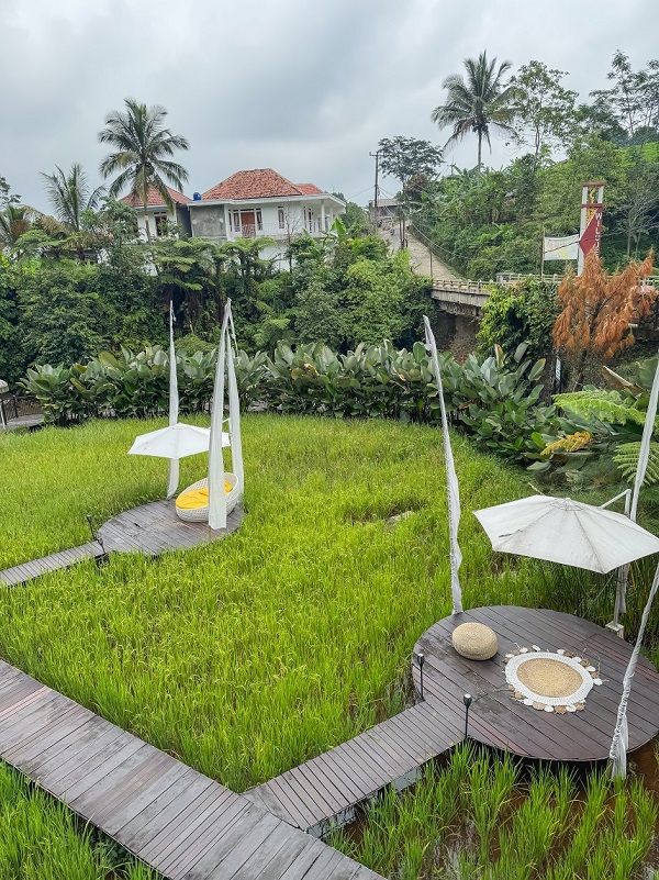 Ngopi Dengan Pemandangan Sawah di Kopi Tubing Bogor