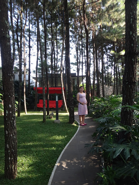 Perjalanan Program Kehamilan