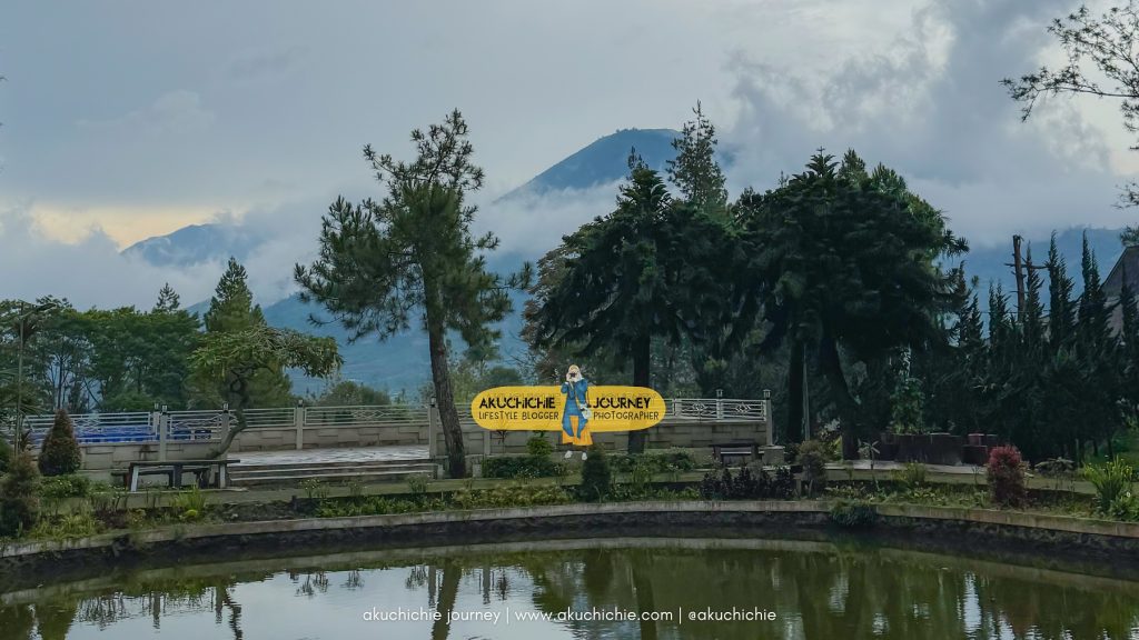 wisata kebun teh tambi wonosobo