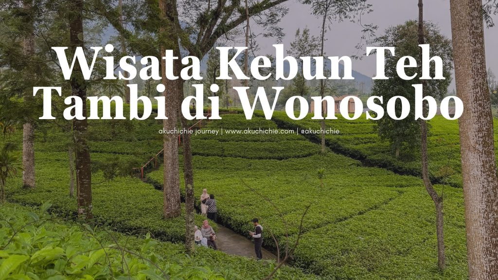 wisata kebun teh tambi wonosobo