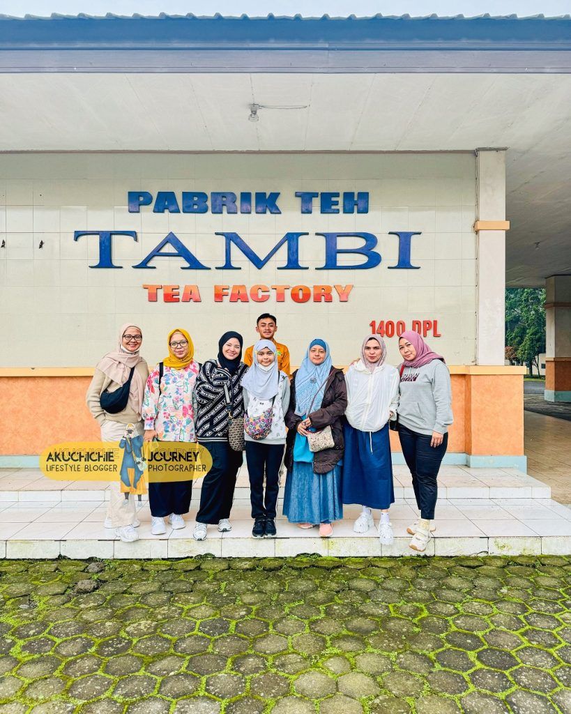 Kebun teh Tambi di Wonosobo