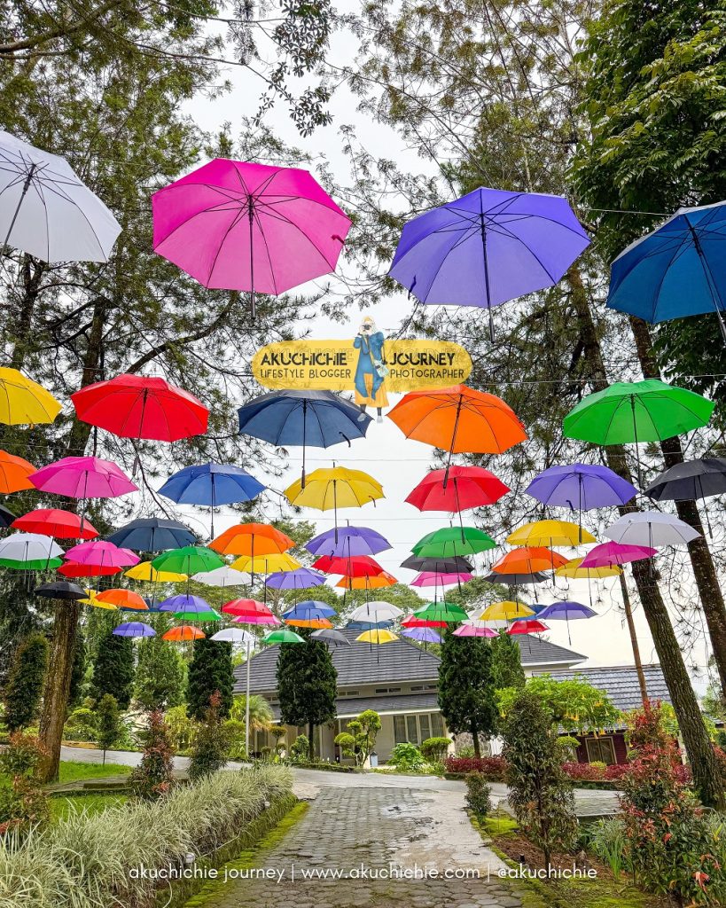 wisata kebun teh tambi wonosobo