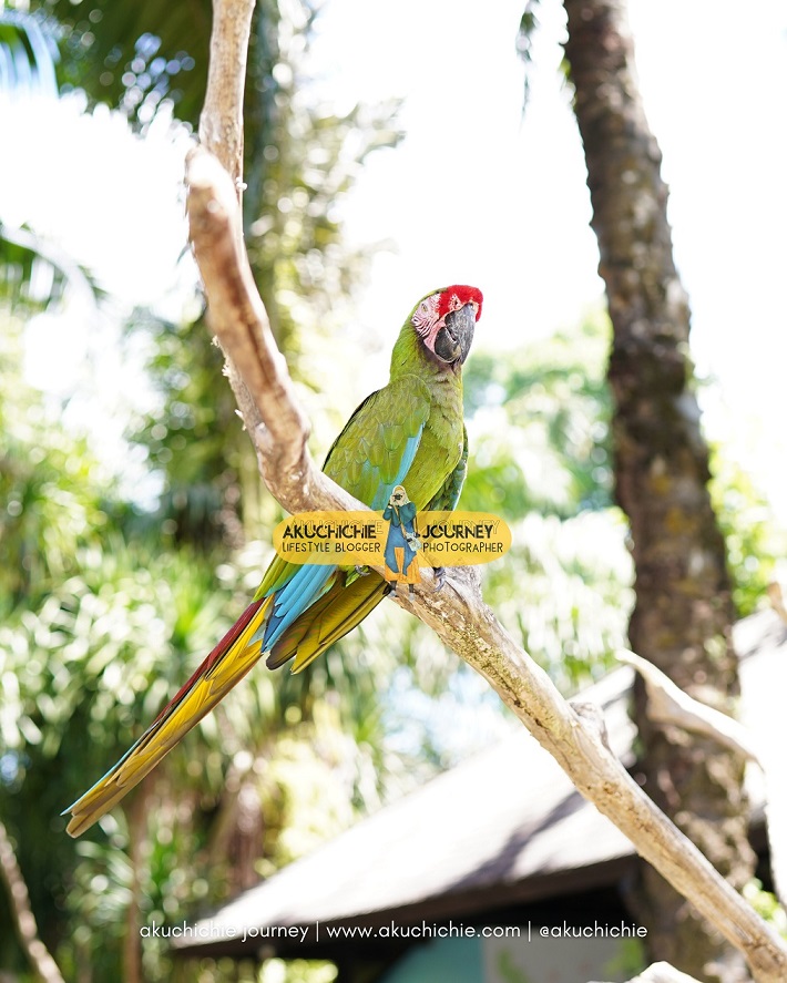 rekomendasi tempat wisata di Bali