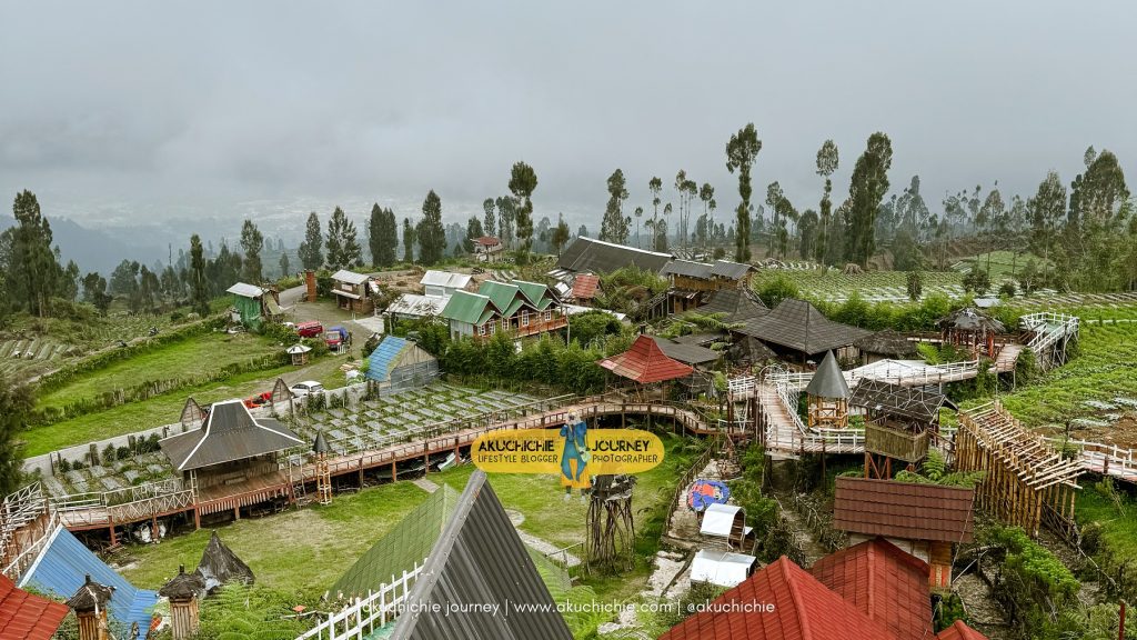 menjadi travel blogger