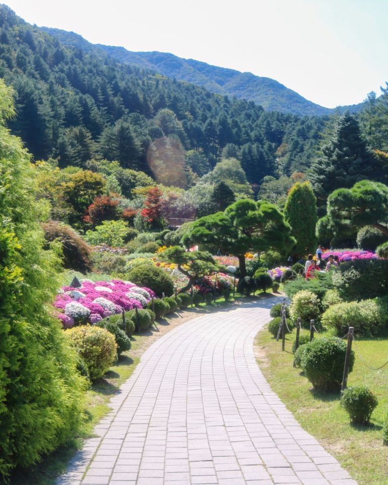 rekomendasi musim panas di korea selatan