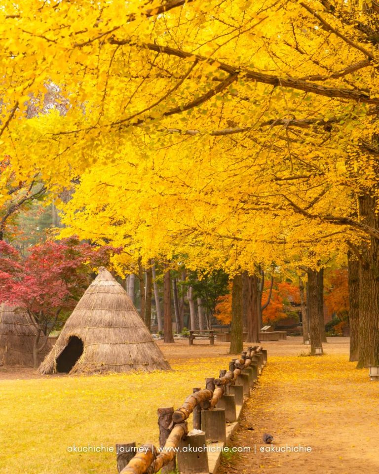 Aktivitas Musim Gugur di Korea Selatan