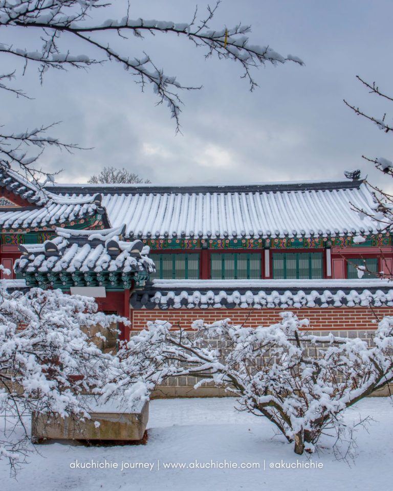 Destinasi Liburan Musim Salju di Korea Selatan