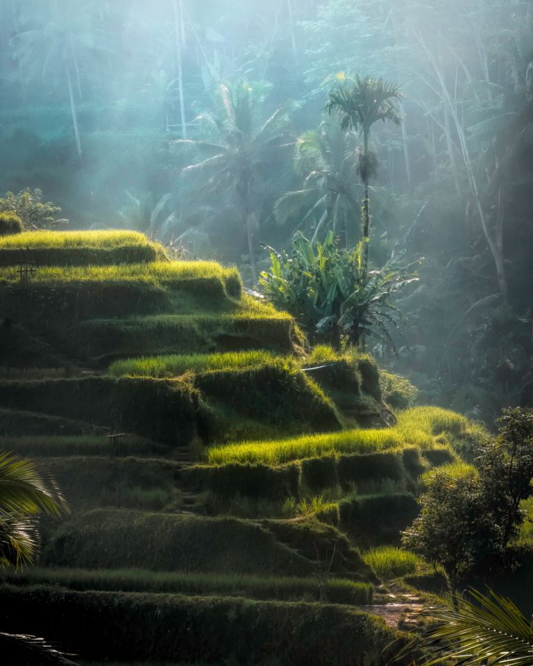 Persiapan Roadtrip Bersama Keluarga