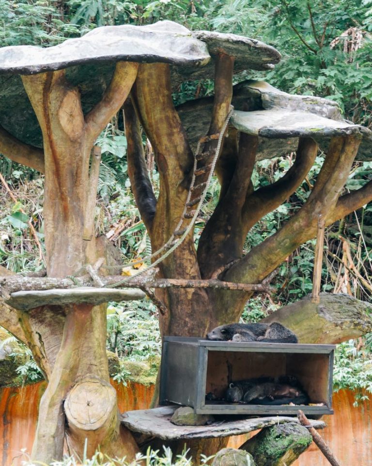 liburan ke taman safari indonesia bersama keluarga