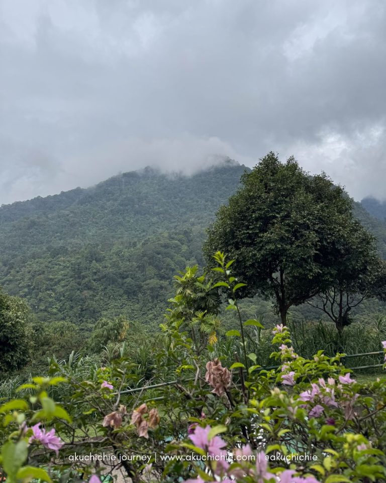 Ide Tulisan Travel Blog Agar Lebih Menarik