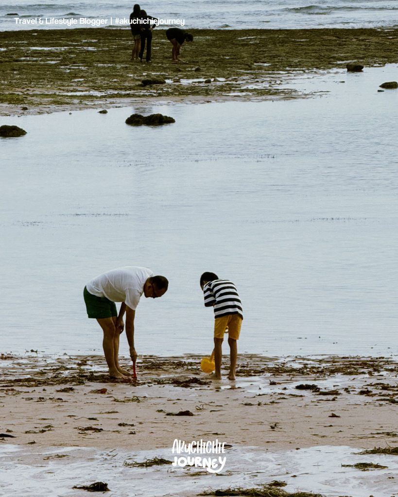 The Beach Club Marriott's