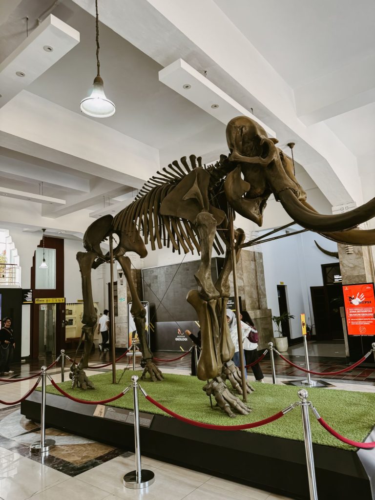 main ke Museum Geologi Bandung