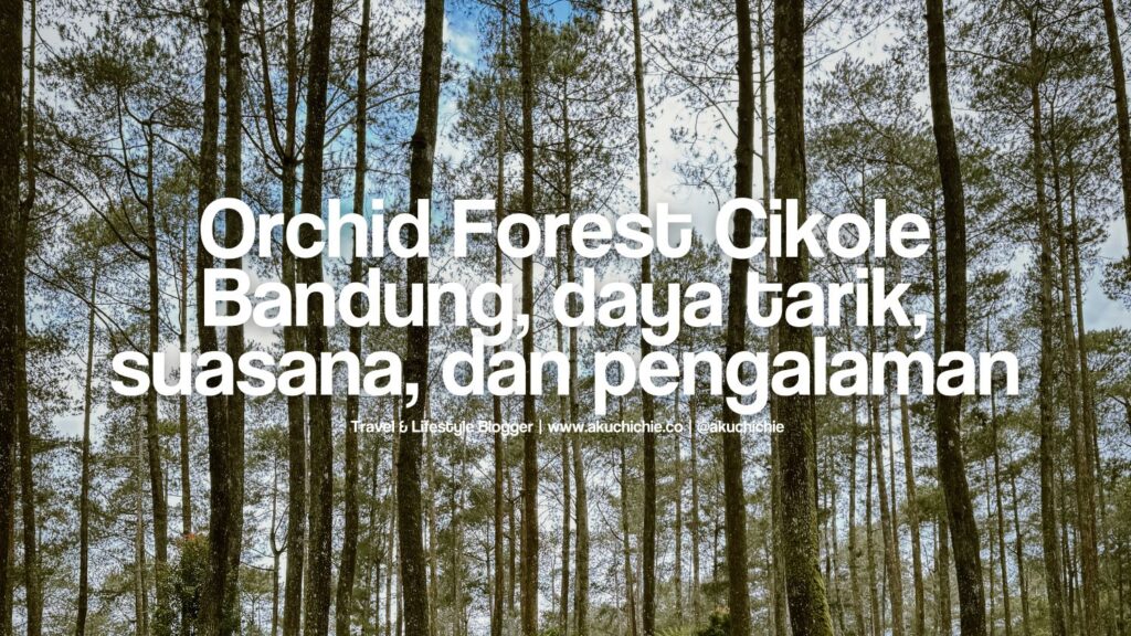 Orchid Forest Cikole Bandung: Daya Tarik, Suasana, dan Pengalaman