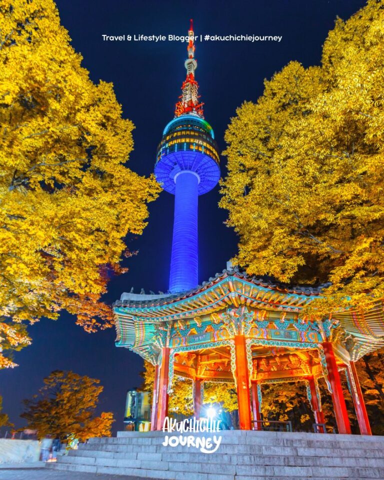 Solo Traveling vs Family Trip